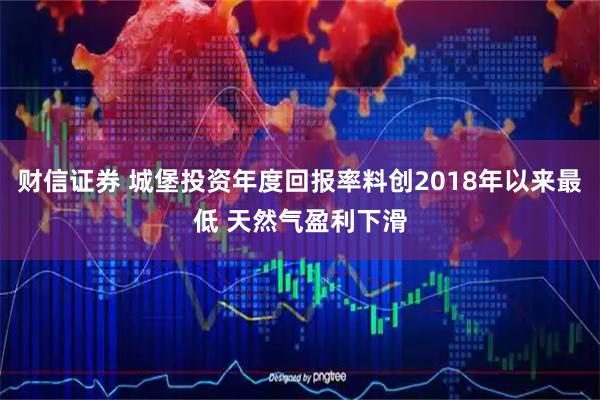 财信证券 城堡投资年度回报率料创2018年以来最低 天然气盈利下滑