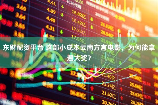 东财配资平台 这部小成本云南方言电影，为何能拿遍大奖？