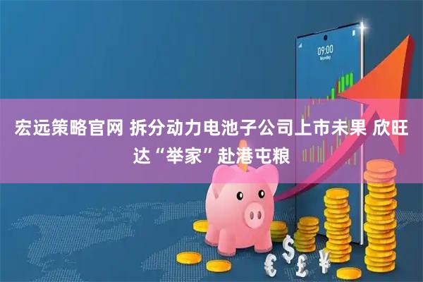 宏远策略官网 拆分动力电池子公司上市未果 欣旺达“举家”赴港屯粮